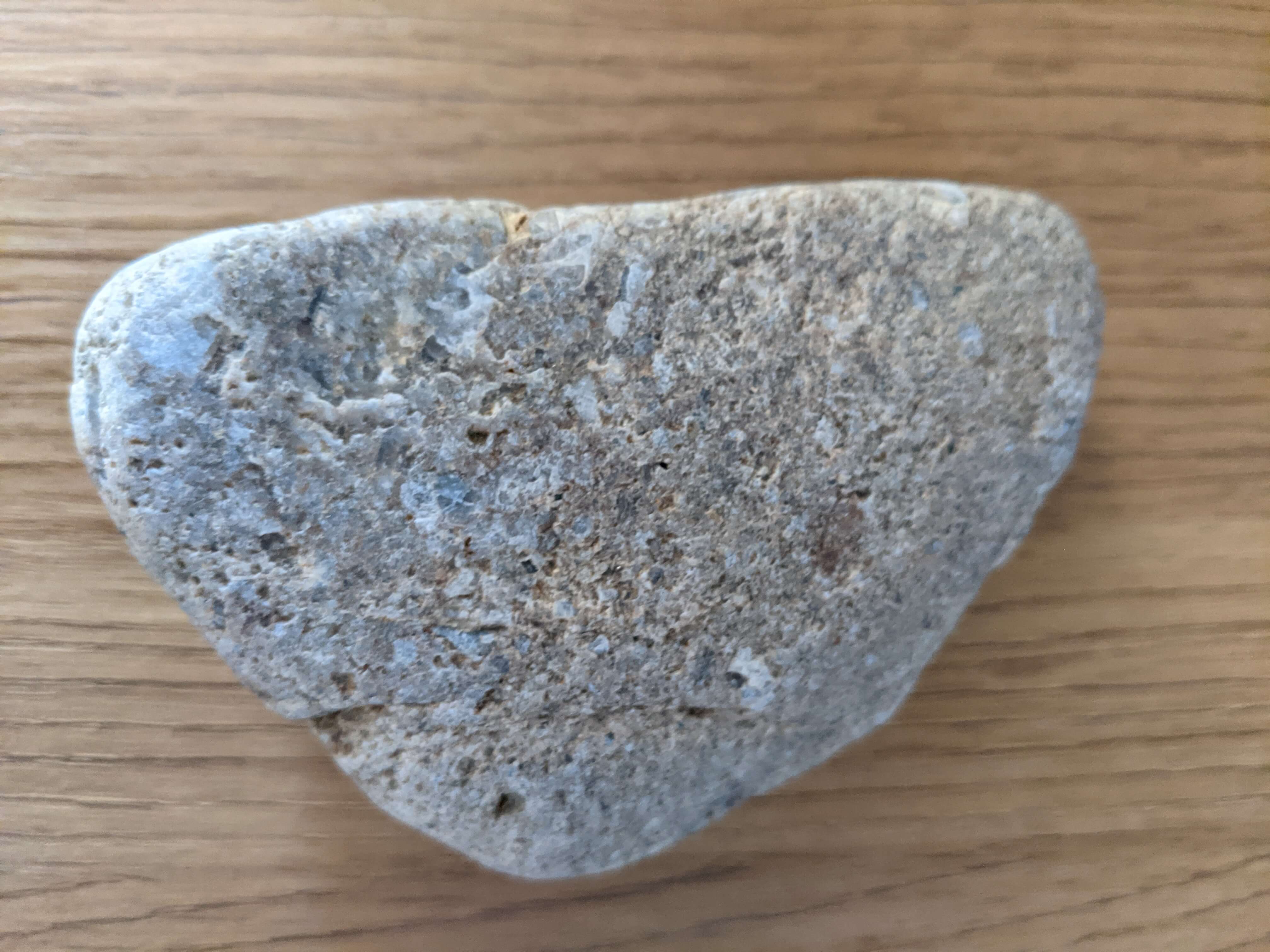 Main product photo showing unique pet rock with personality, includes cozy carrier box