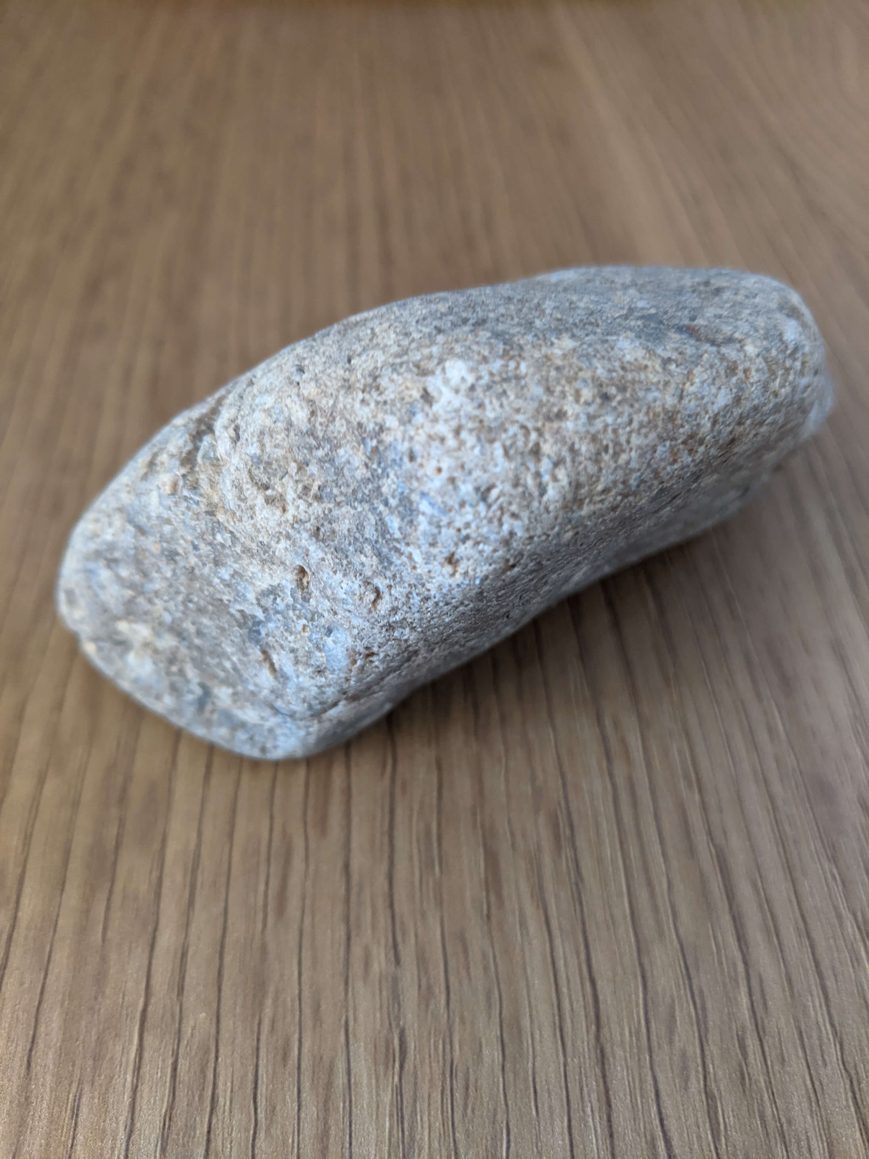 Additional product view 2 - pet rock detail and packaging