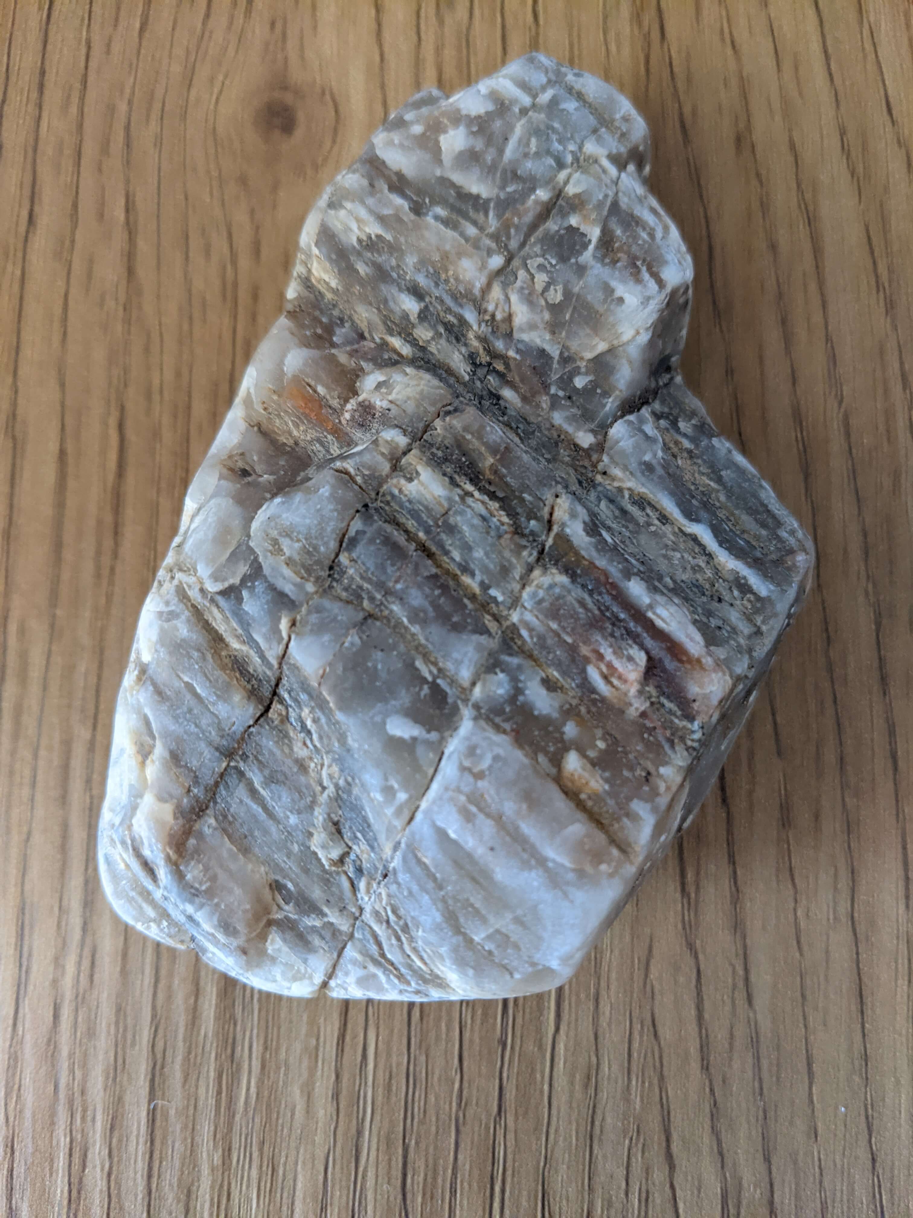 Main product photo showing unique pet rock with personality, includes cozy carrier box