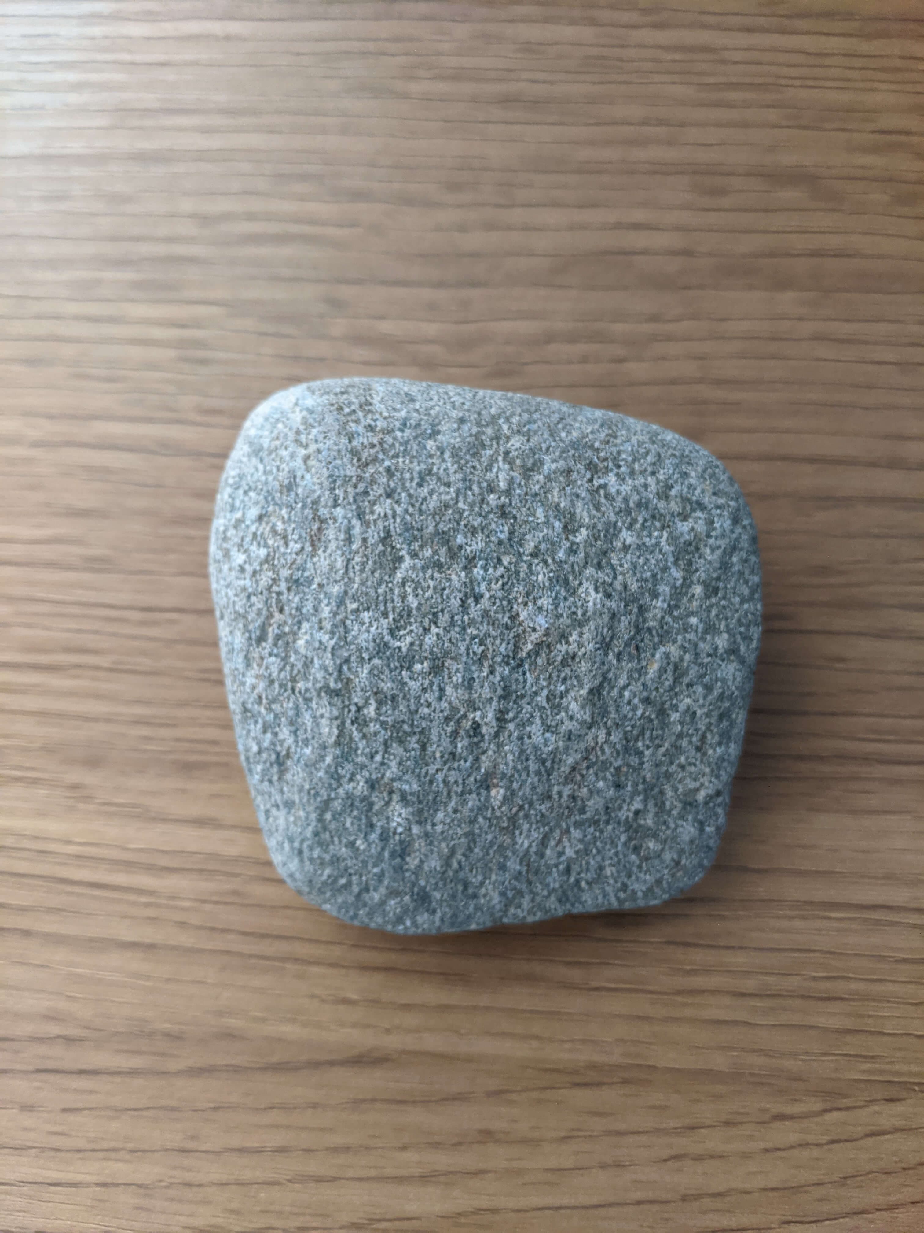 Main product photo showing unique pet rock with personality, includes cozy carrier box