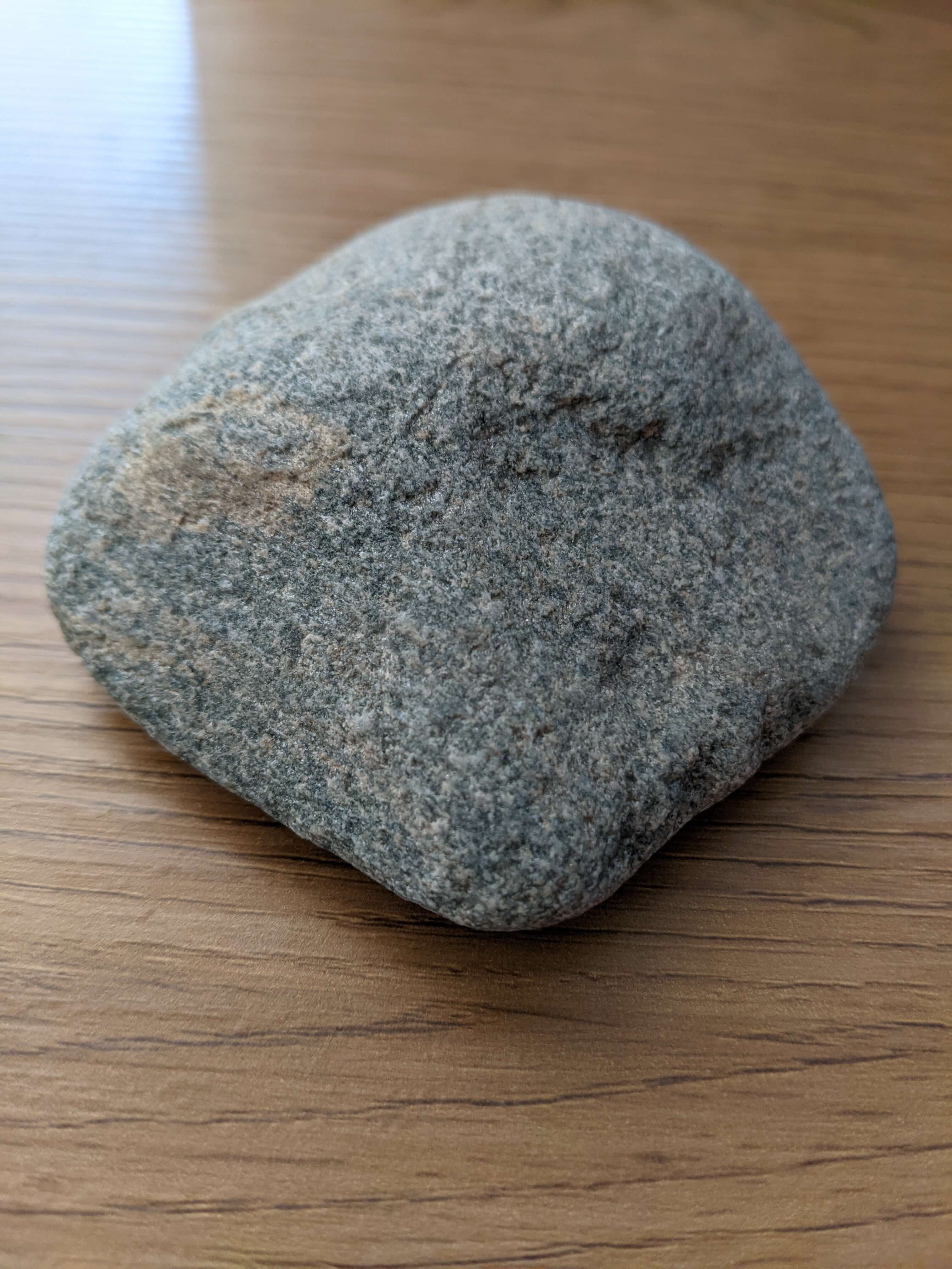 Additional product view 2 - pet rock detail and packaging