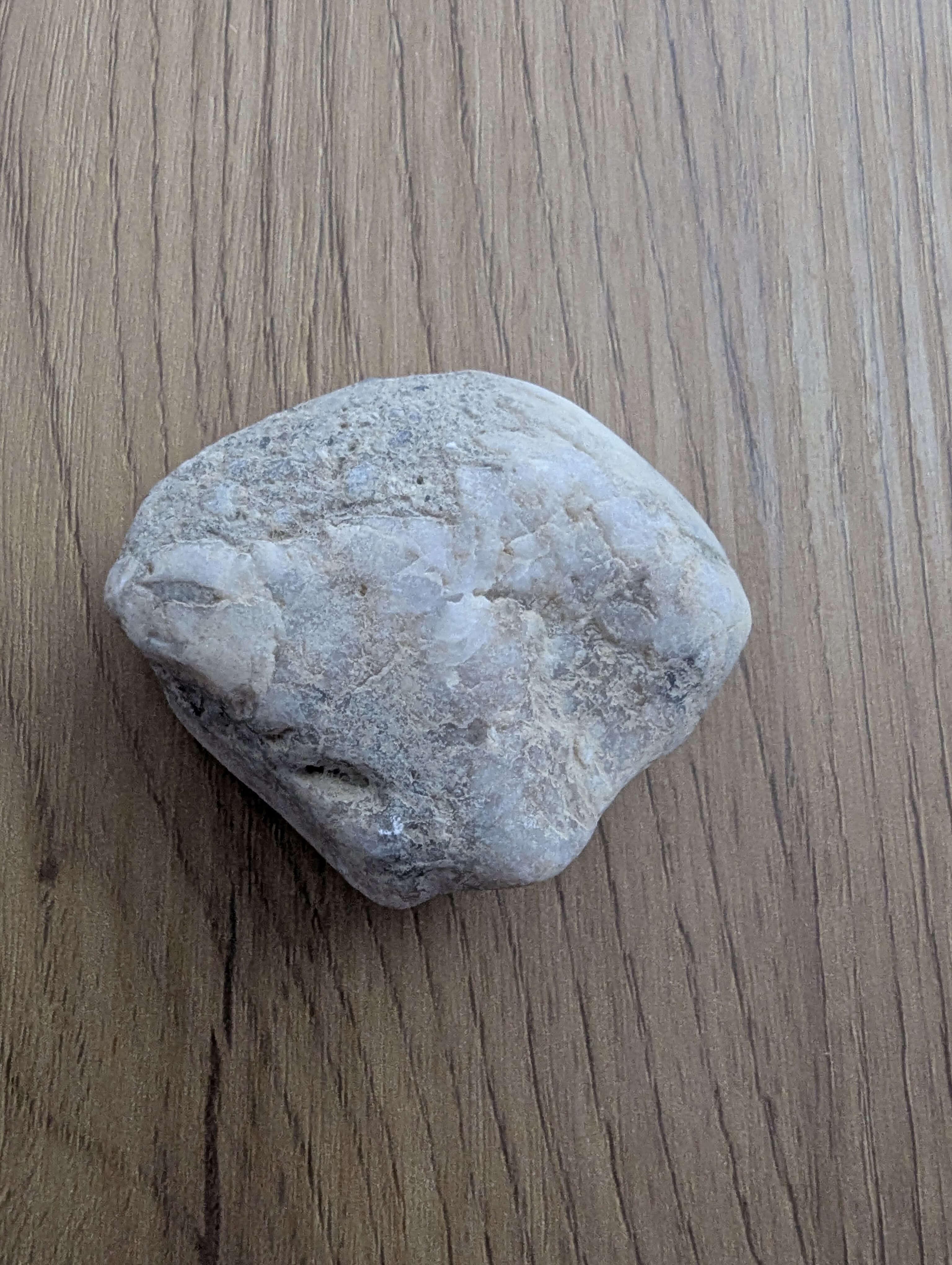 Main product photo showing unique pet rock with personality, includes cozy carrier box