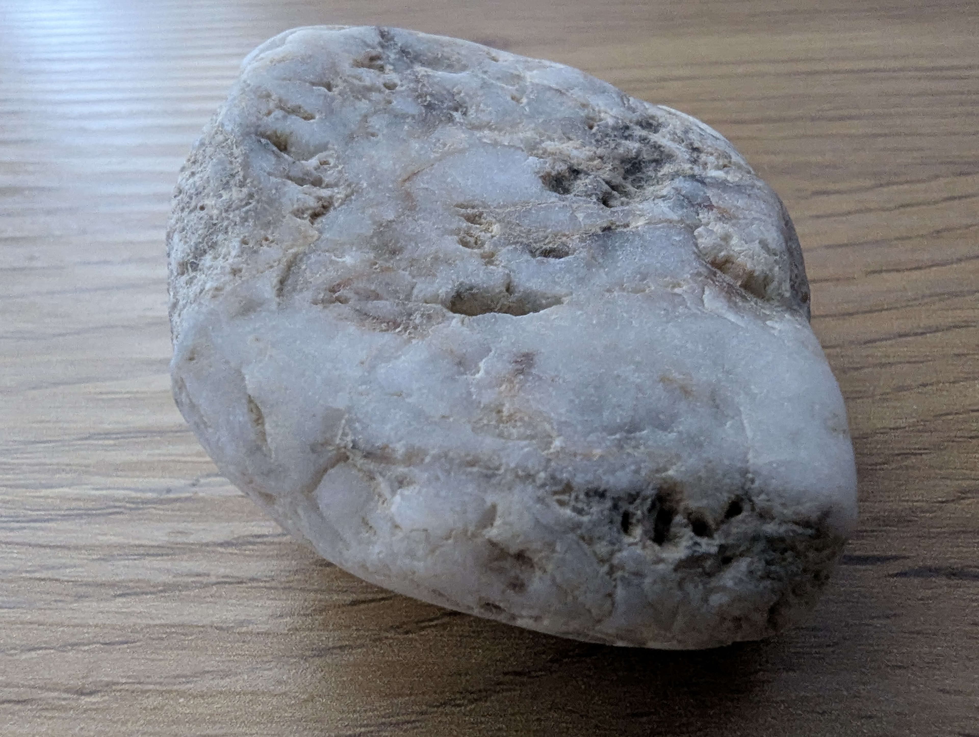 Additional product view 2 - pet rock detail and packaging