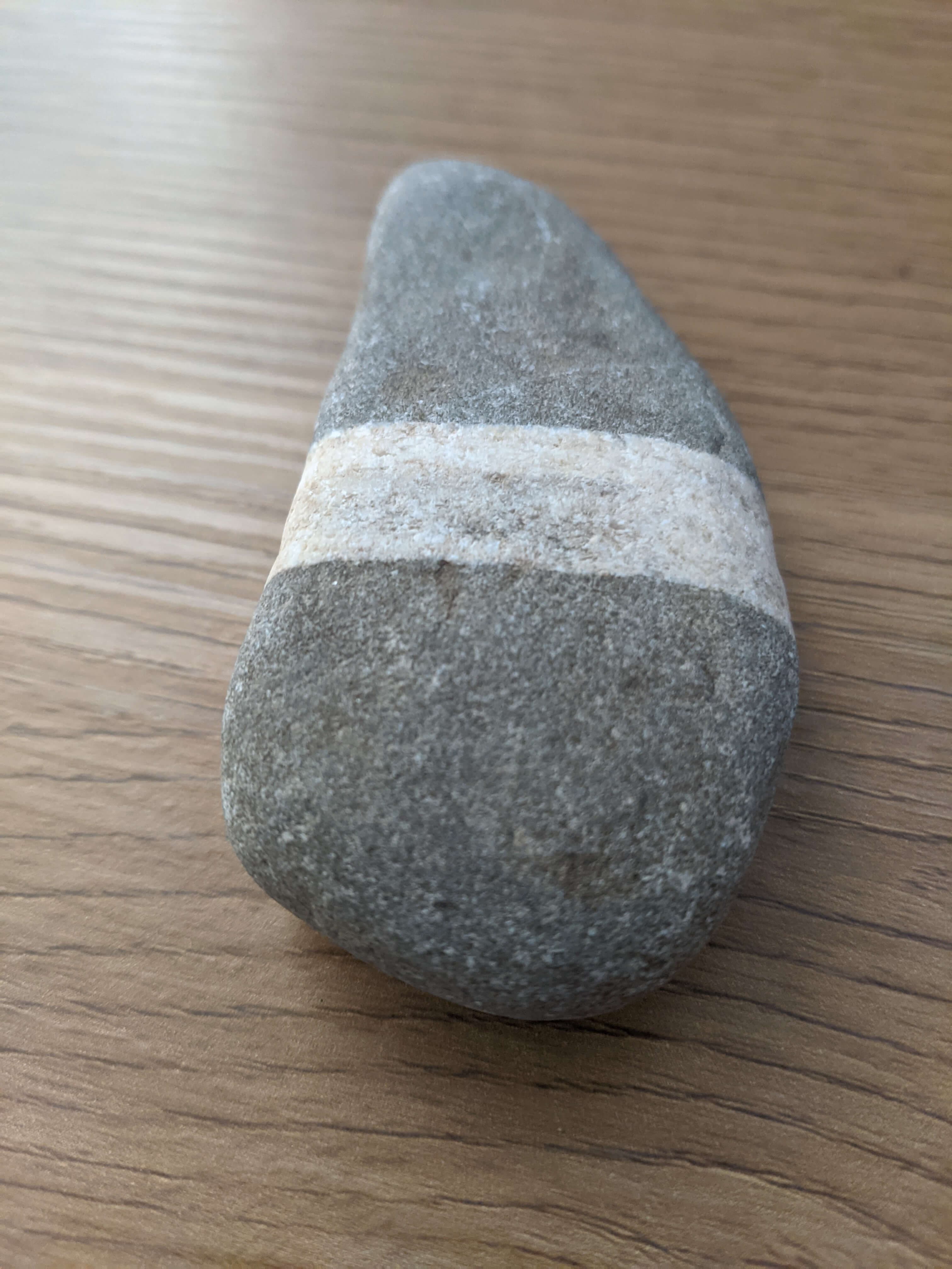 Main product photo showing unique pet rock with personality, includes cozy carrier box