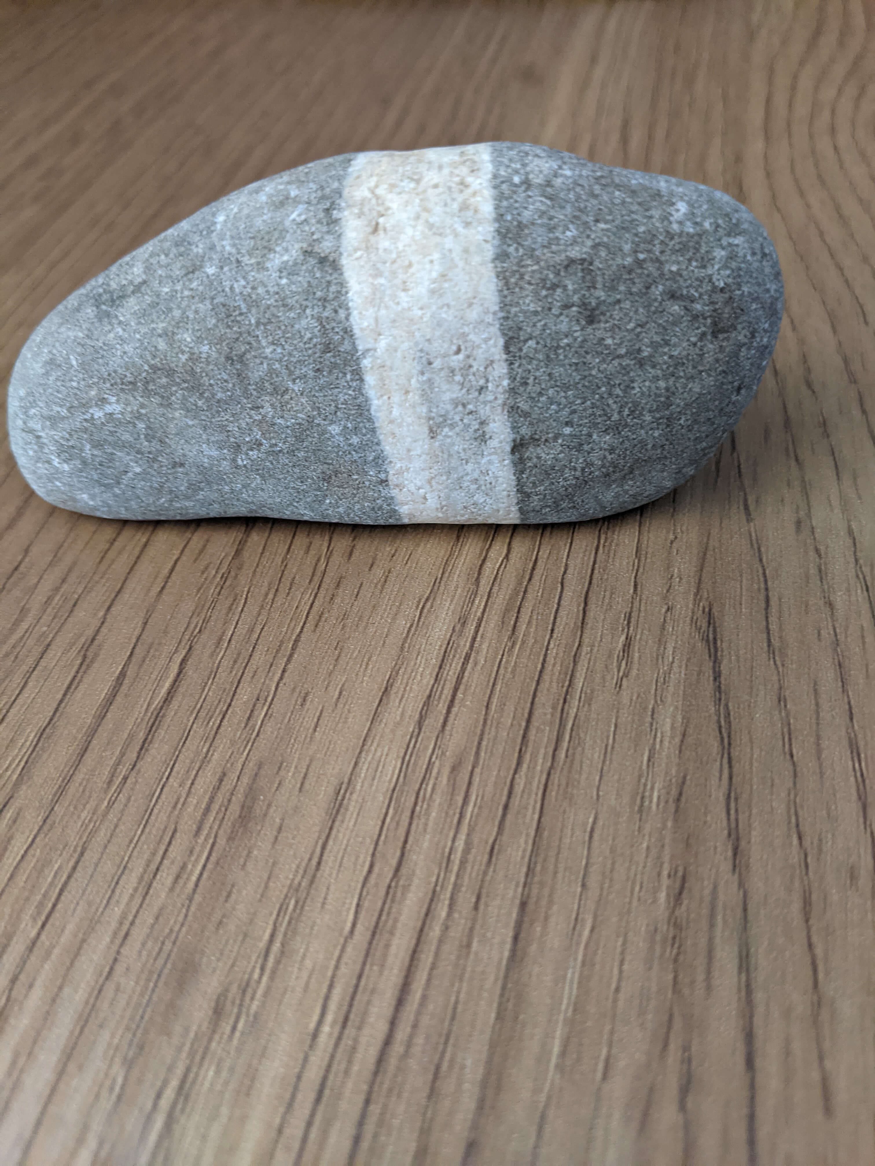 Additional product view 2 - pet rock detail and packaging